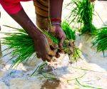 Yogi Government's Digital Agriculture Mission gains momentum in Uttar Pradesh