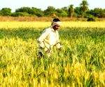 Regional Agriculture Conference of the North Zone to be held in Lucknow on 24