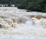 'Karnataka has enough water': TN moves Supreme Court seeking full Cauvery share