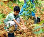 Yogi govt to organise Van Mahotsav from July 1