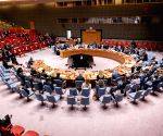 UNSC calls for new strategies to counter terrorists using AI, drones