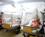 Dengue, swine flu cases surge in Tamil Nadu; doctors urge vigilance ahead of monsoon