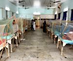 Dengue cases drop nearly 40 pc in Gujarat; districts told to intensify checks