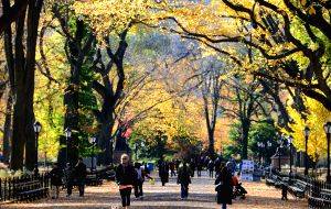 Most Beautiful Urban Publ
