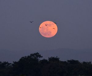 Sharad Purnima - October 25, 2026: The Brightest Full Moon of the Autumn Season 