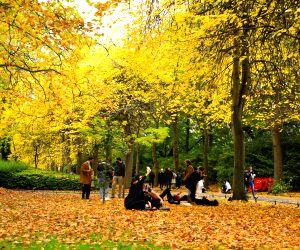 Sharad Ritu - October 11, 2026: Autumn season, Ayurveda Insights and Festivals