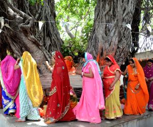 Vat Savitri Vrat - 16 May, 2026: Amavasya Tithi Timings, Rituals, and Significance
